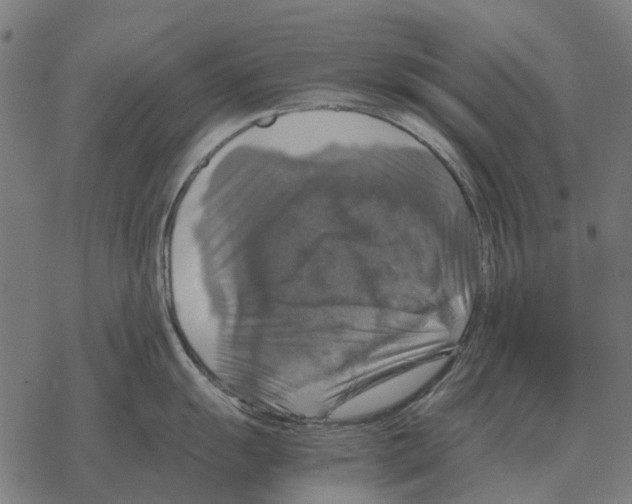 X0000067891055200605111846