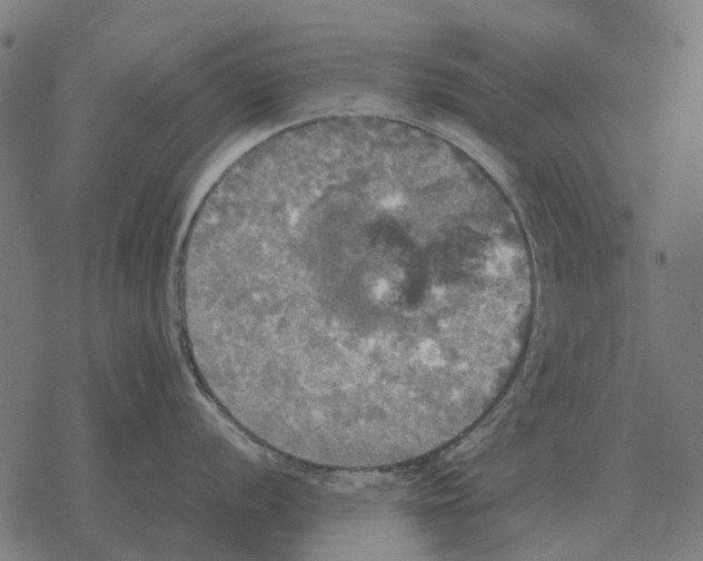 X0000067891056200605111846