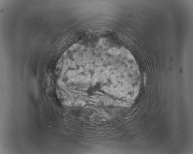 X0000067891059200605111845