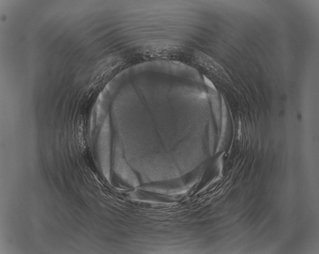 X0000067891060200605111845