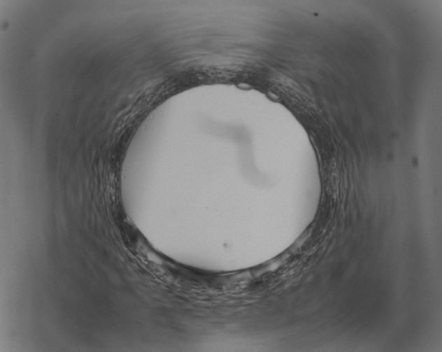 X0000067891061200605111845