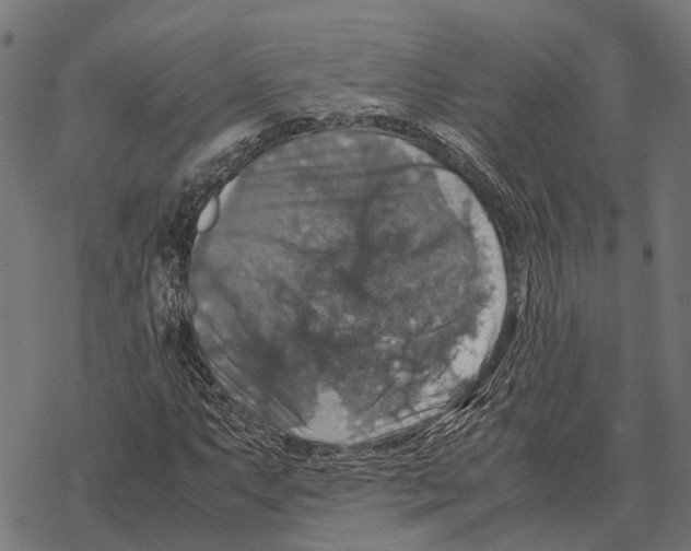 X0000067891063200605111845