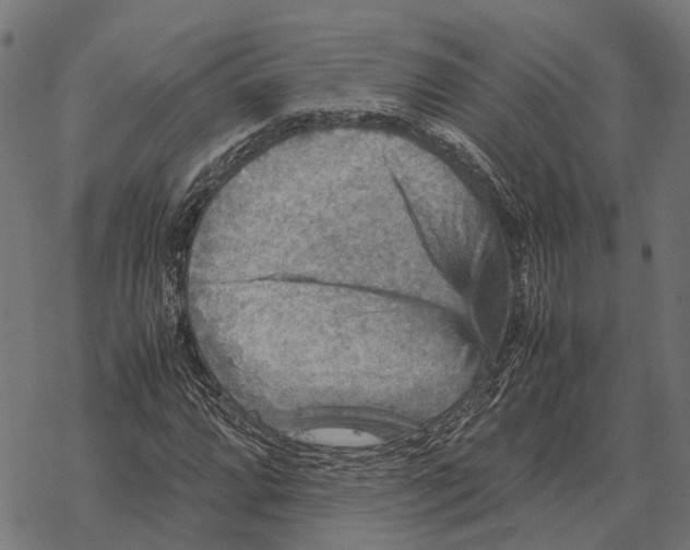 X0000067891064200605111845