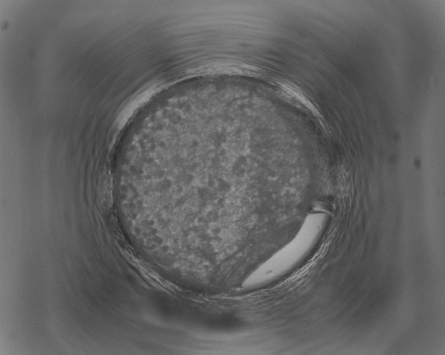 X0000067891067200605111845