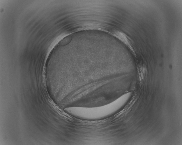 X0000067891068200605111845