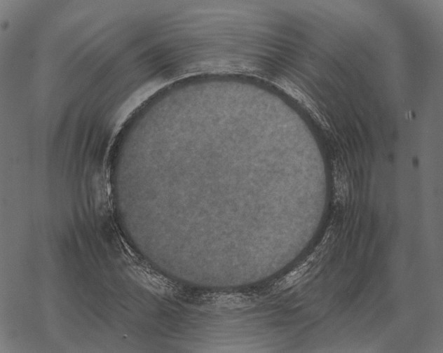 X0000067891070200605111845