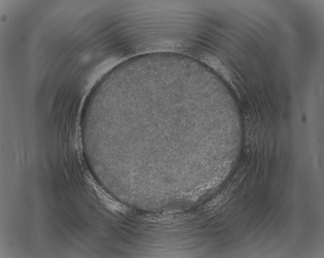 X0000067891072200605111845