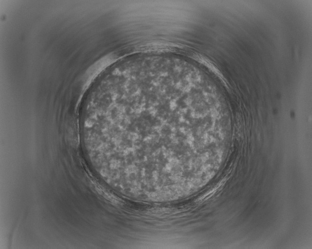 X0000067891075200605111845