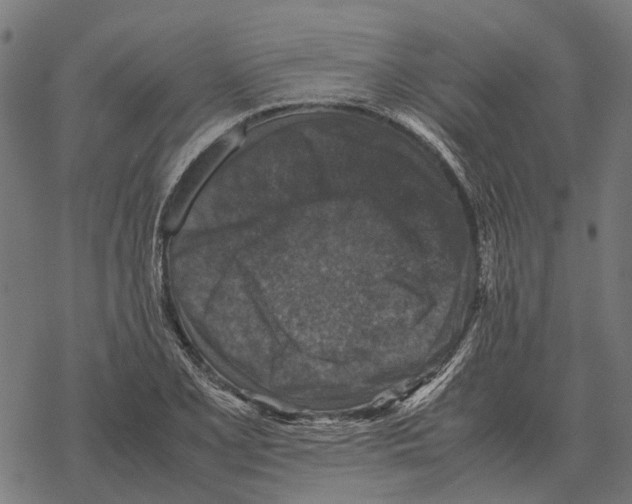 X0000067891077200605111845