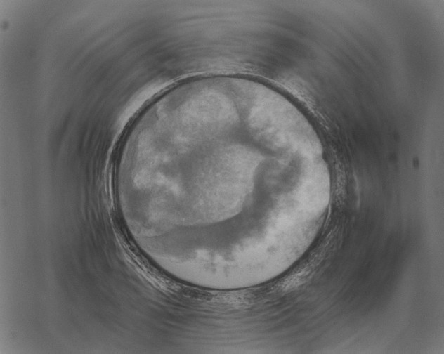 X0000067891078200605111845