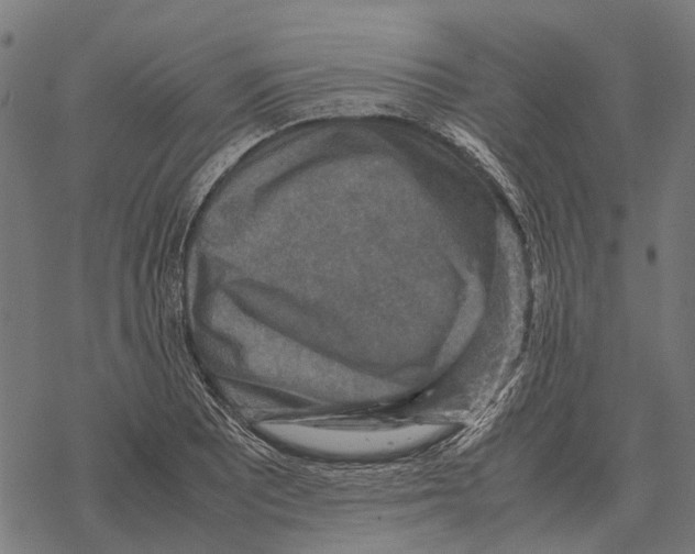 X0000067891081200605111845