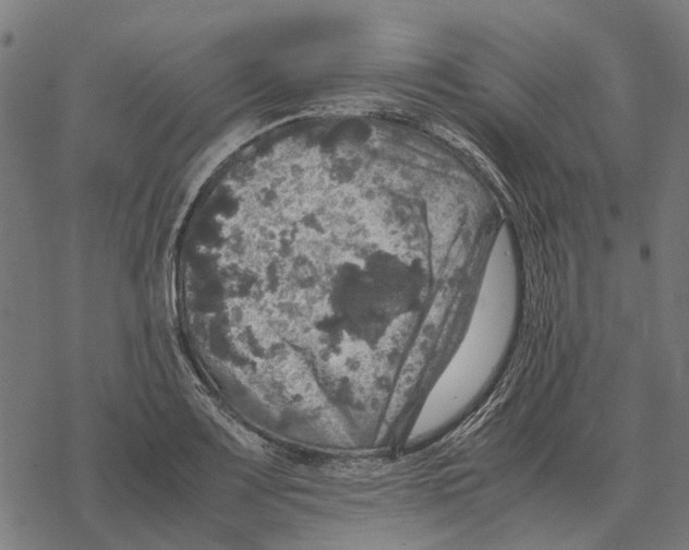 X0000067891083200605111845