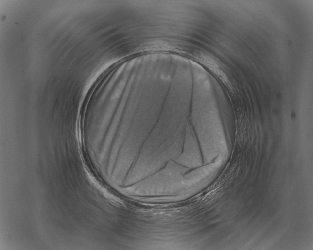 X0000067891084200605111845