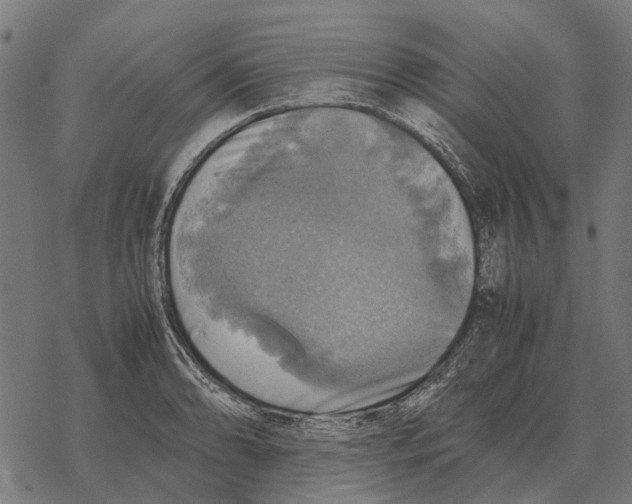 X0000067891086200605111845