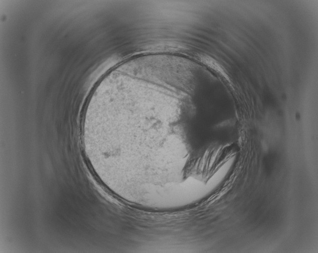 X0000067891087200605111845