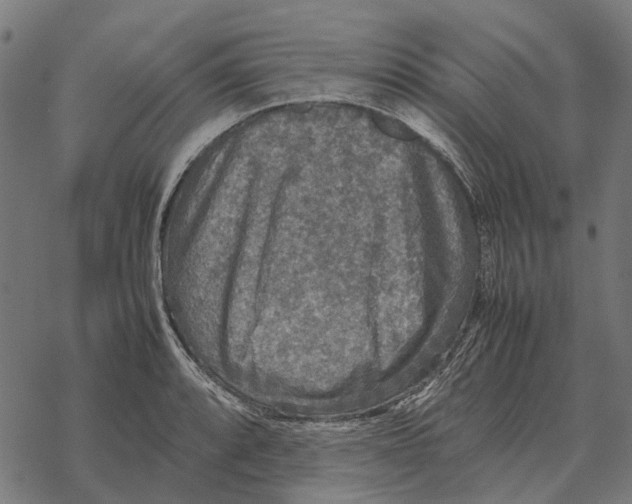 X0000067891088200605111844