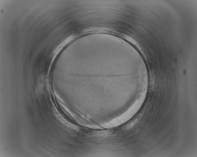 X0000067891090200605111844