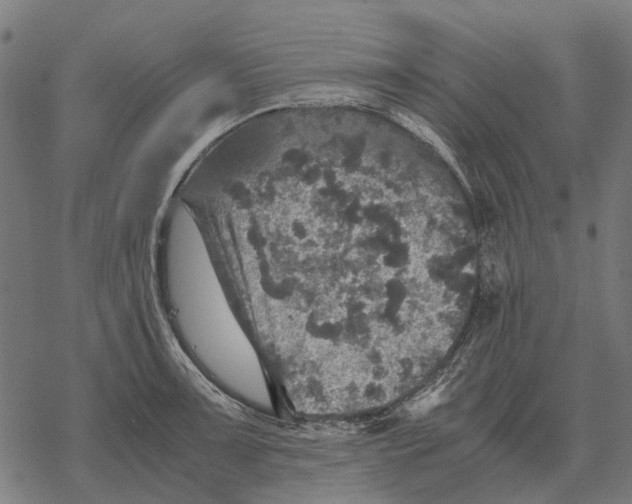 X0000067891091200605111844