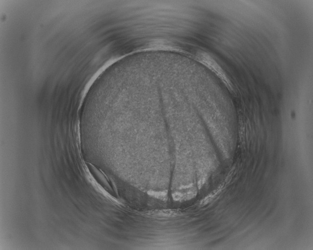 X0000067891092200605111844