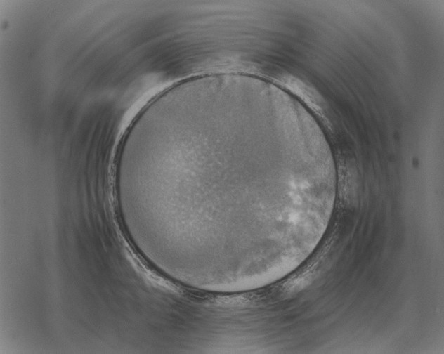 X0000067891094200605111844