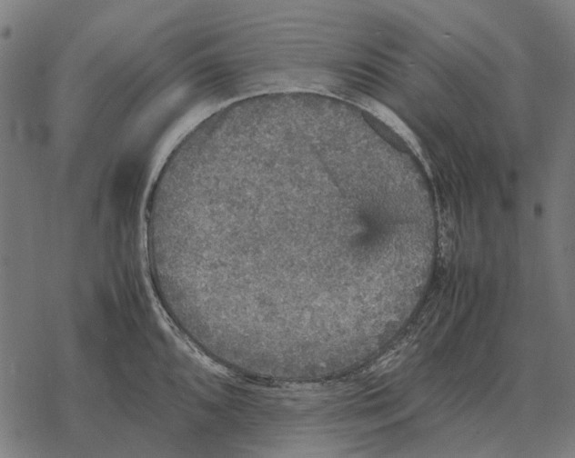 X0000067891096200605111844