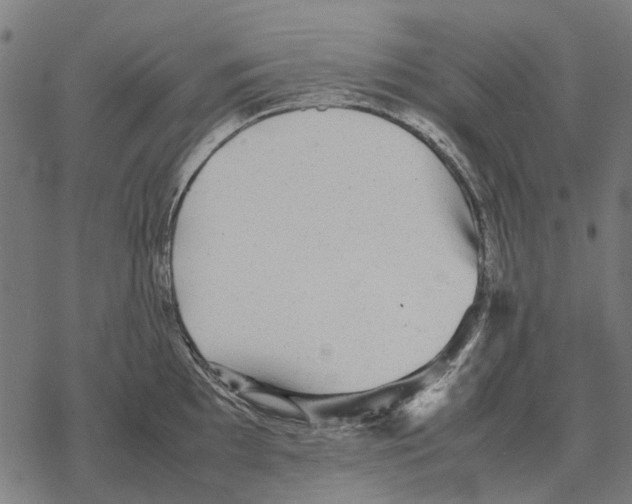 X0000067891097200605111844