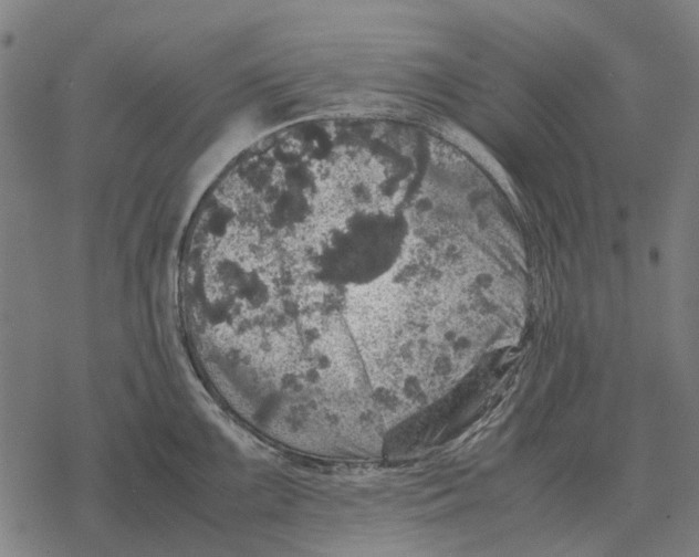 X0000067891099200605111844