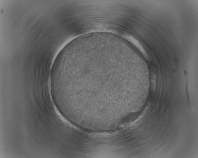 X0000067891100200605111844