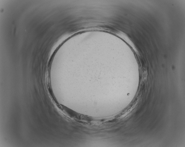 X0000067891101200605111844