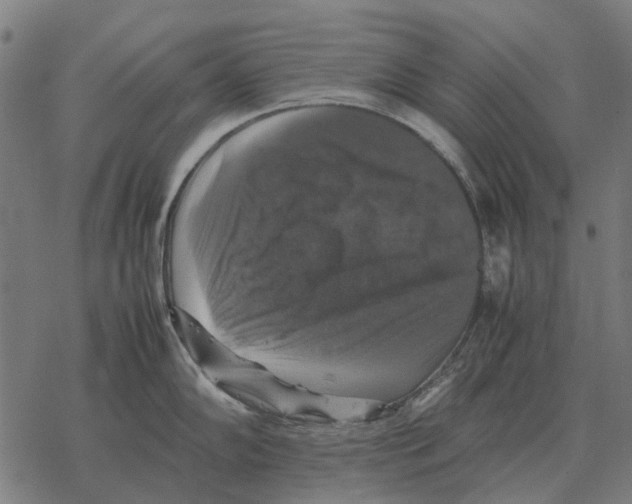 X0000067891102200605111844