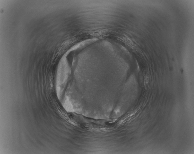 X0000067891106200605111843