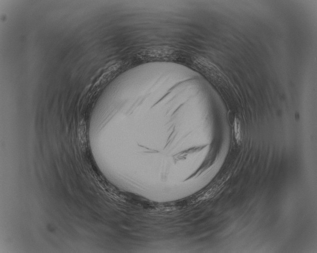 X0000067891107200605111843