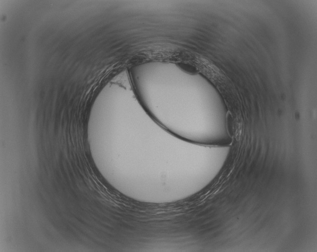 X0000067891108200605111844