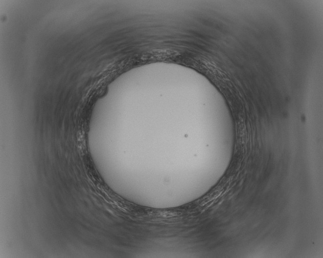 X0000067891109200605111844