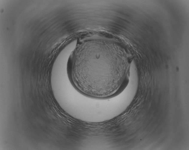 X0000067891110200605111844