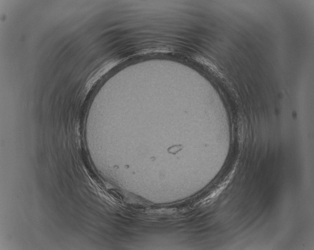 X0000067891113200605111844