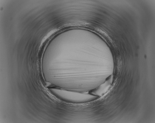 X0000067891114200605111844