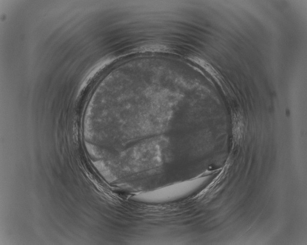 X0000067891115200605111844