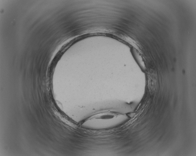 X0000067891116200605111844