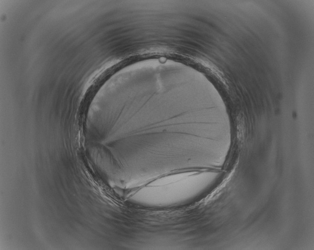 X0000067891117200605111844