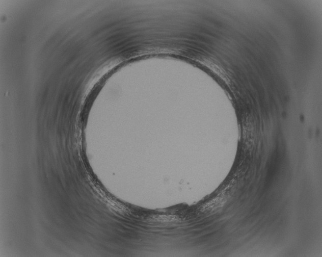 X0000067891119200605111844