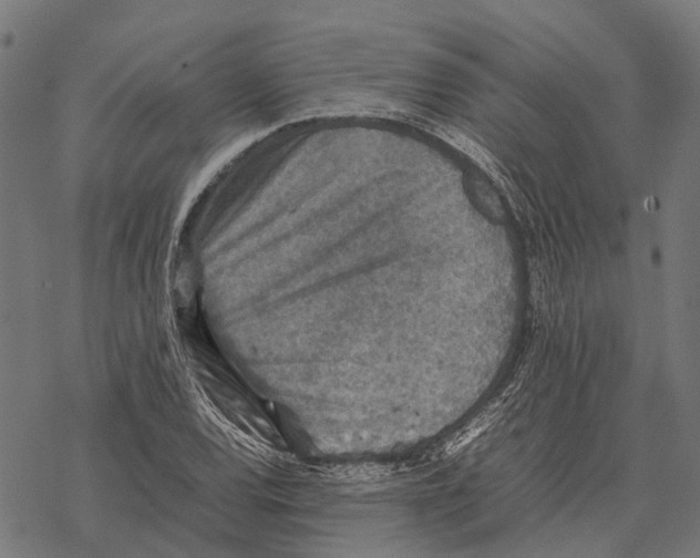 X0000067891120200605111844