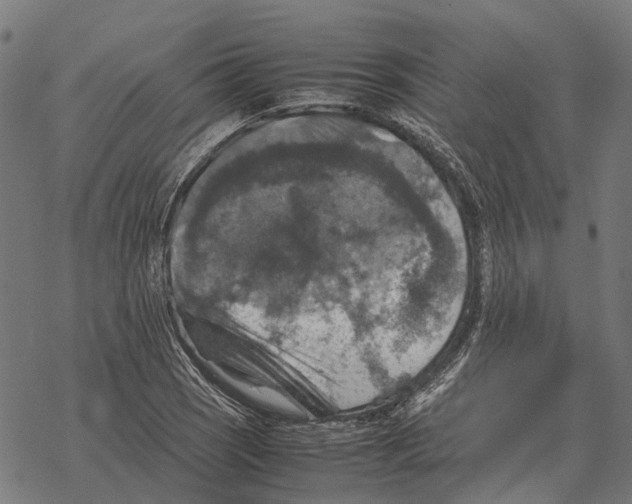 X0000067891121200605111844