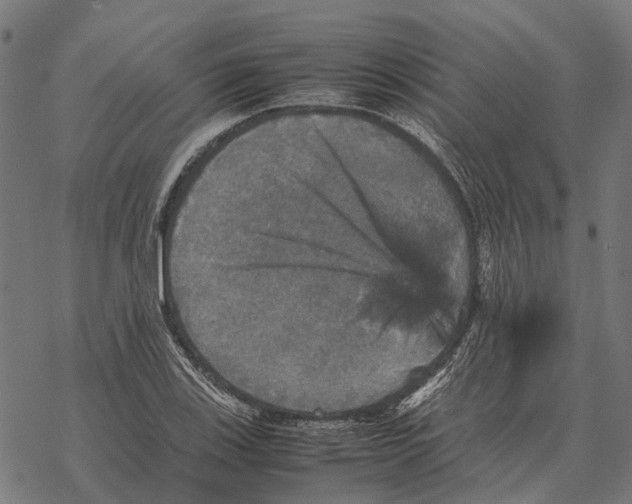 X0000067891123200605111844