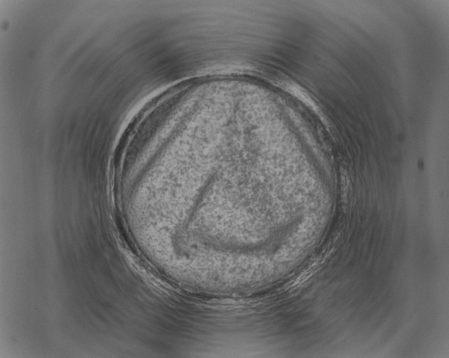 X0000067891124200605111844