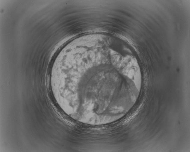 X0000067891125200605111844