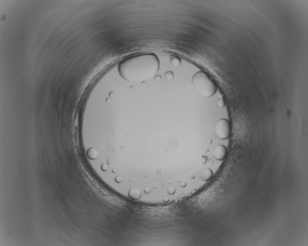 X0000067891126200605111844