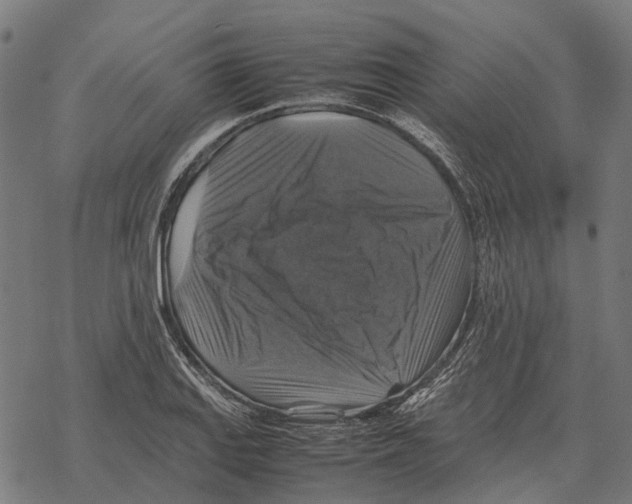 X0000067891127200605111844