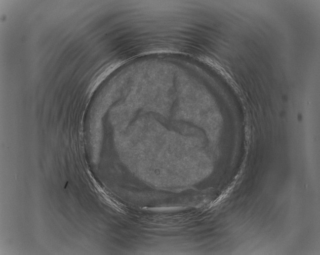 X0000067891129200605111844