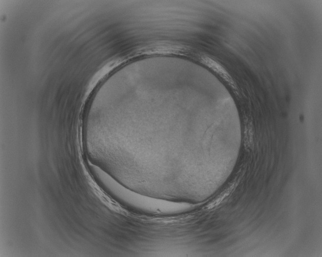 X0000067891130200605111844